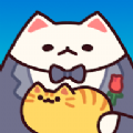办公室猫咪 办公室猫咪