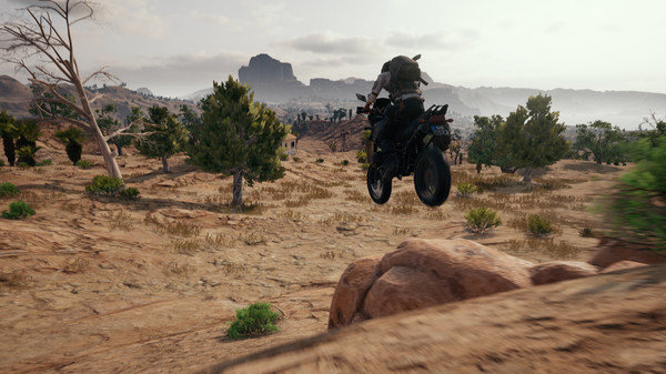 pubg免费手机版