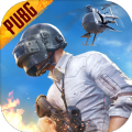 pubg国际服最新版 pubg国际服最新版
