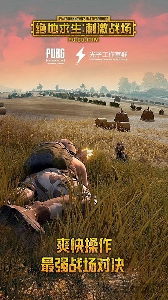 pubg mobile国际服(汉化版)