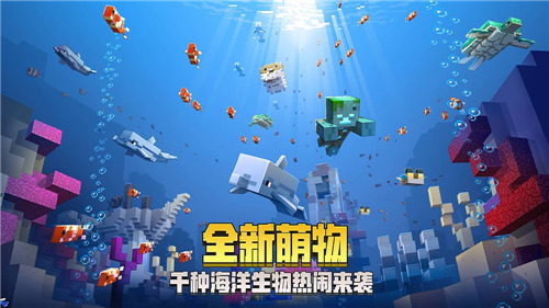 我的世界1.19国际版下载