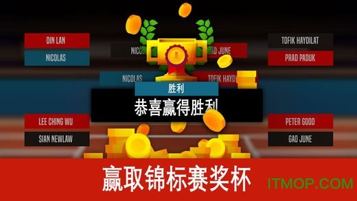 羽毛球高高手官