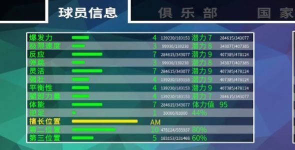 职业足球生涯