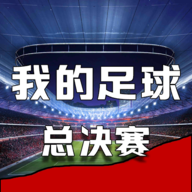 我的足球总决赛 我的足球总决赛