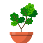 玻璃瓶闲置花园（免费施肥浇水除虫）