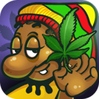 大麻农民(大量货币) 大麻农民(大量货币)