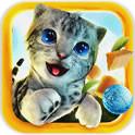 模拟猫咪2015(无限金币) 模拟猫咪2015(无限金币)
