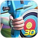 射箭世界冠军3D(无限金币) 射箭世界冠军3D(无限金币)